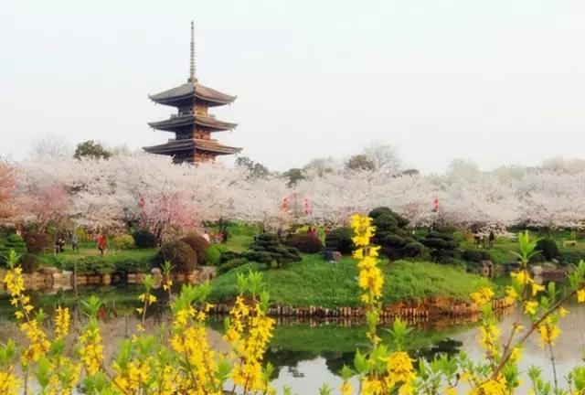 武汉旅游攻略最佳线路推荐一下,武汉沿地铁线有哪些好玩的地方