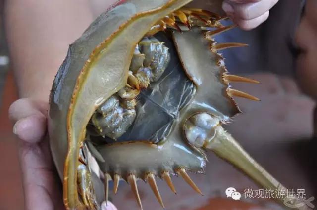 被誉为全世界最美的沙滩,被称为世界十大海滩