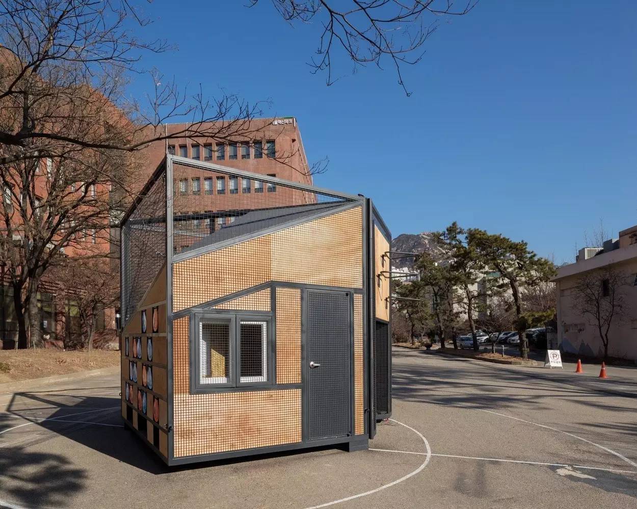 中国篮球场和网球场哪个实用,网球场标准尺寸和篮球场对比