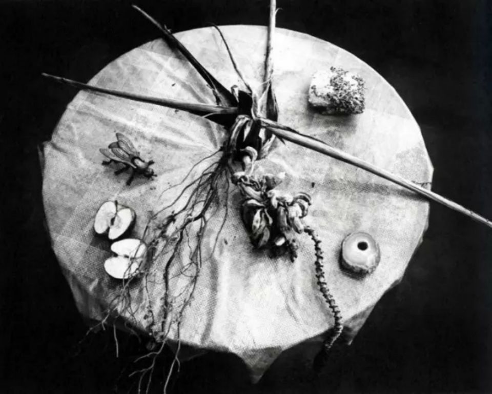 大师现场作画看不懂,大师摄影作品分析