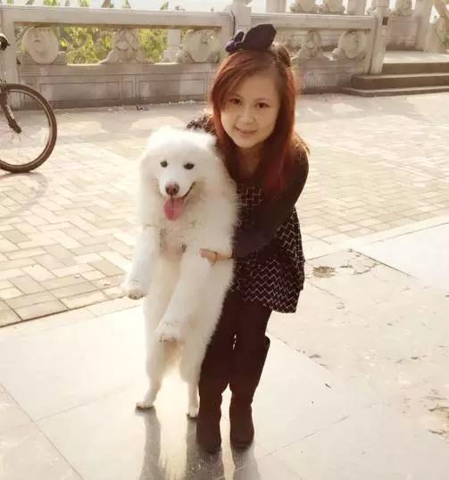 狗是唯一喜欢你的生物,狗是唯一爱主人胜过爱自己的动物