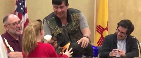 为救主人狗狗舍命相救,为救主人还剩半张脸的狗狗