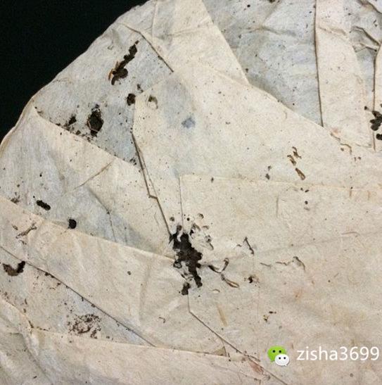 茶叶里“长虫”,你还能喝得下去吗?