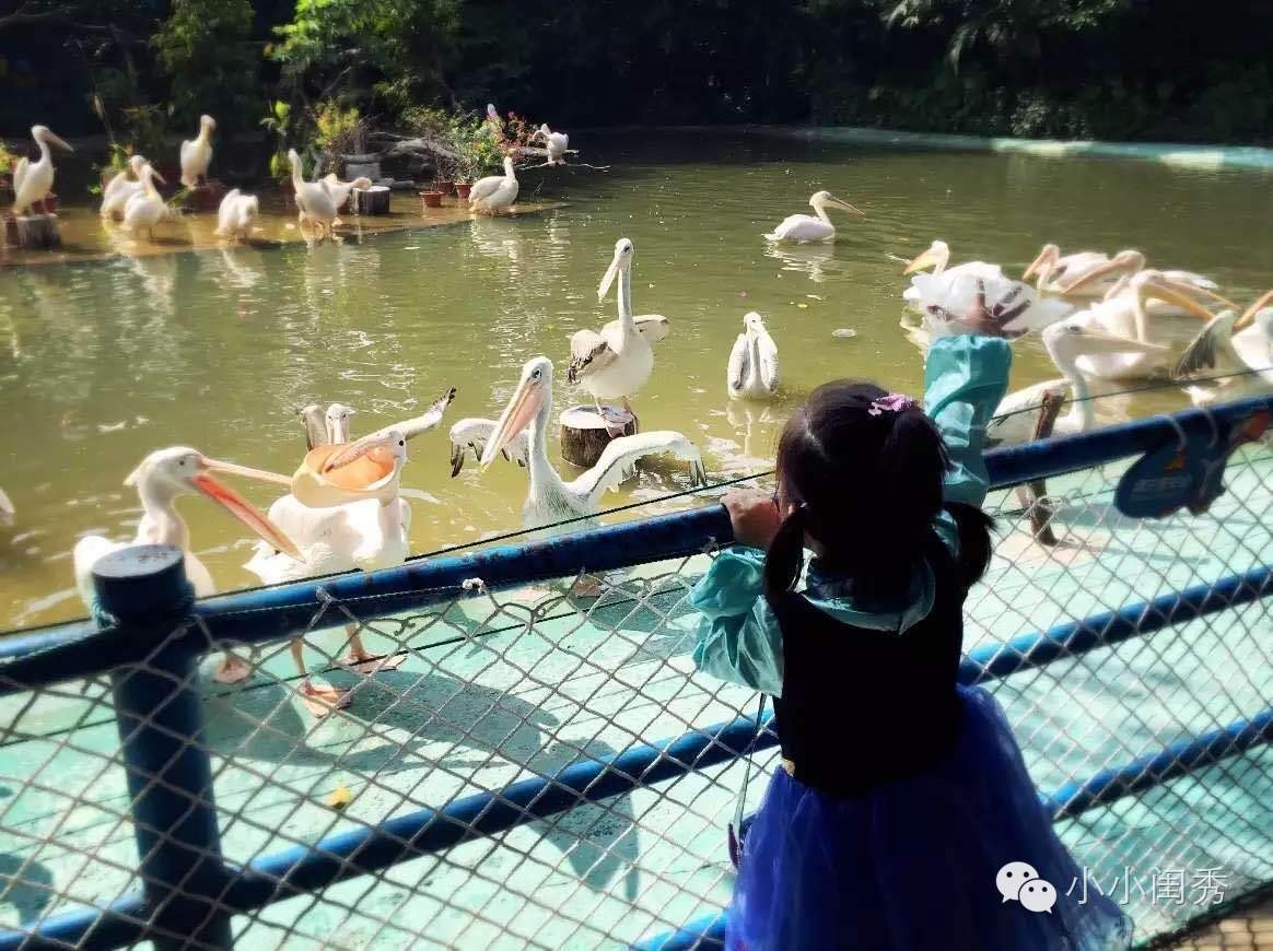 带孩子广州长隆旅游攻略,长隆动物乐园多长时间可以逛完