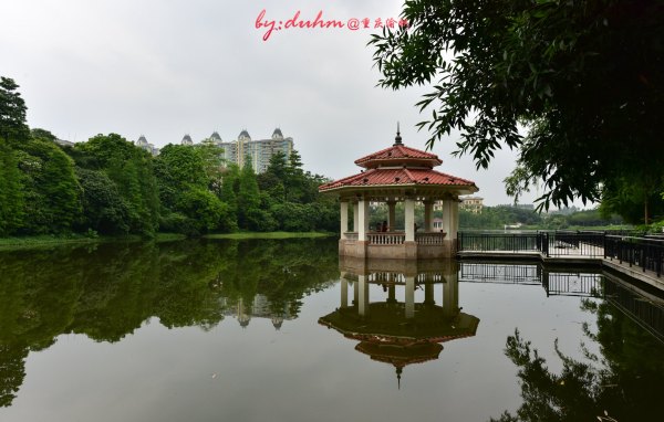 去广东增城玩有哪些攻略,广州周末好去处增城