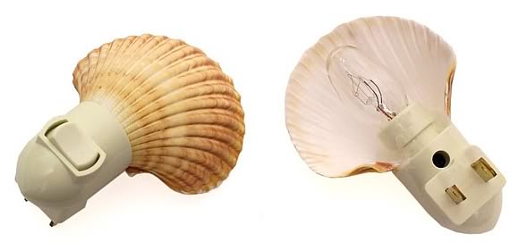 贝壳海洋工艺品摆件,贝壳工艺品叫什么