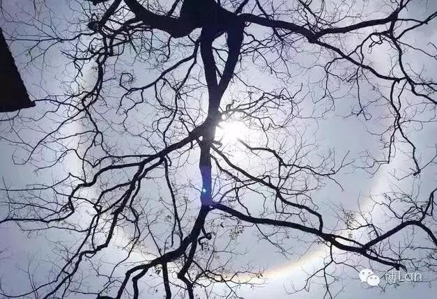 邂逅日晕之后，还会遭遇什么？