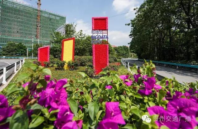 贵阳花卉展,贵阳花卉大世界