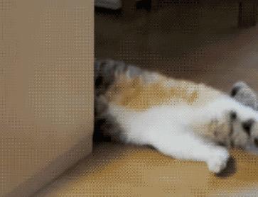 阿里和京东最新的消息,阿里与京东竞争之战