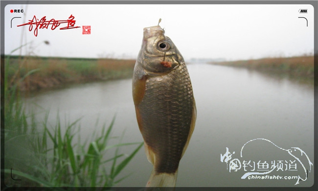 风雨无阻之我爱飞鱼去‘*欢寻**’！