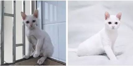 走到流浪的尽头,落入你的温暖怀抱