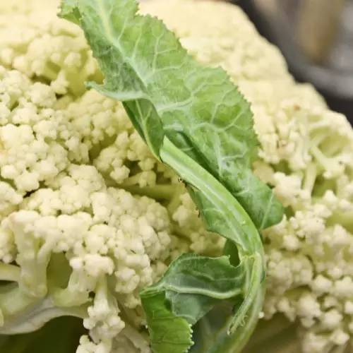 直播信阳大事件:40分钟销售两万斤!帮女郎~棒棒哒!