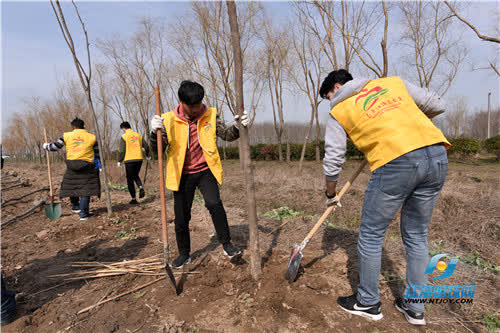 “爱上南通——添绿家园”中外志愿者共同植树为南通添绿