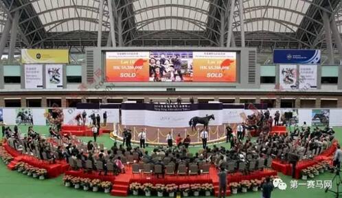 世界顶级赛马赛事,世界顶级赛马赛事直播视频回放