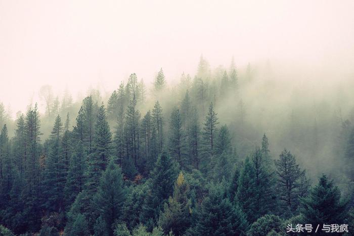 photoshop教程带资源,photoshop调用图层