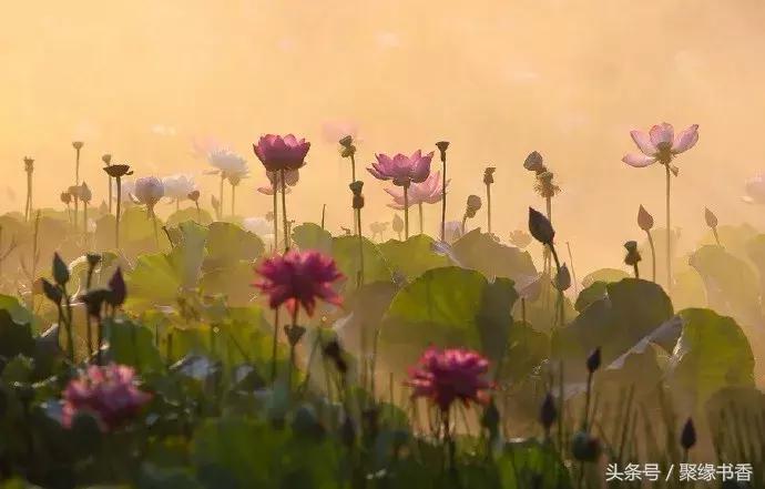 90副绝妙对联都是千古绝对,天若有情天亦老千古名句对联