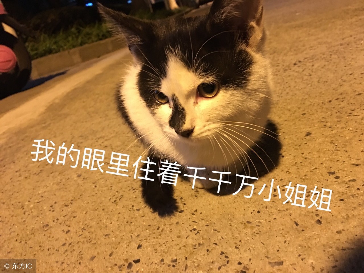 拼多多为什么被卖家吐槽,拼多多套路多多