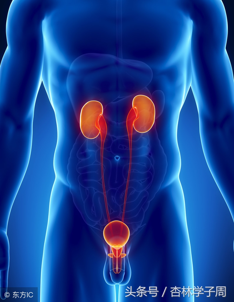 为啥肾虚会腰痛,老年人腰痛的常见原因