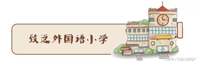 南京十大顶级小学,南京前十名重点小学排名榜