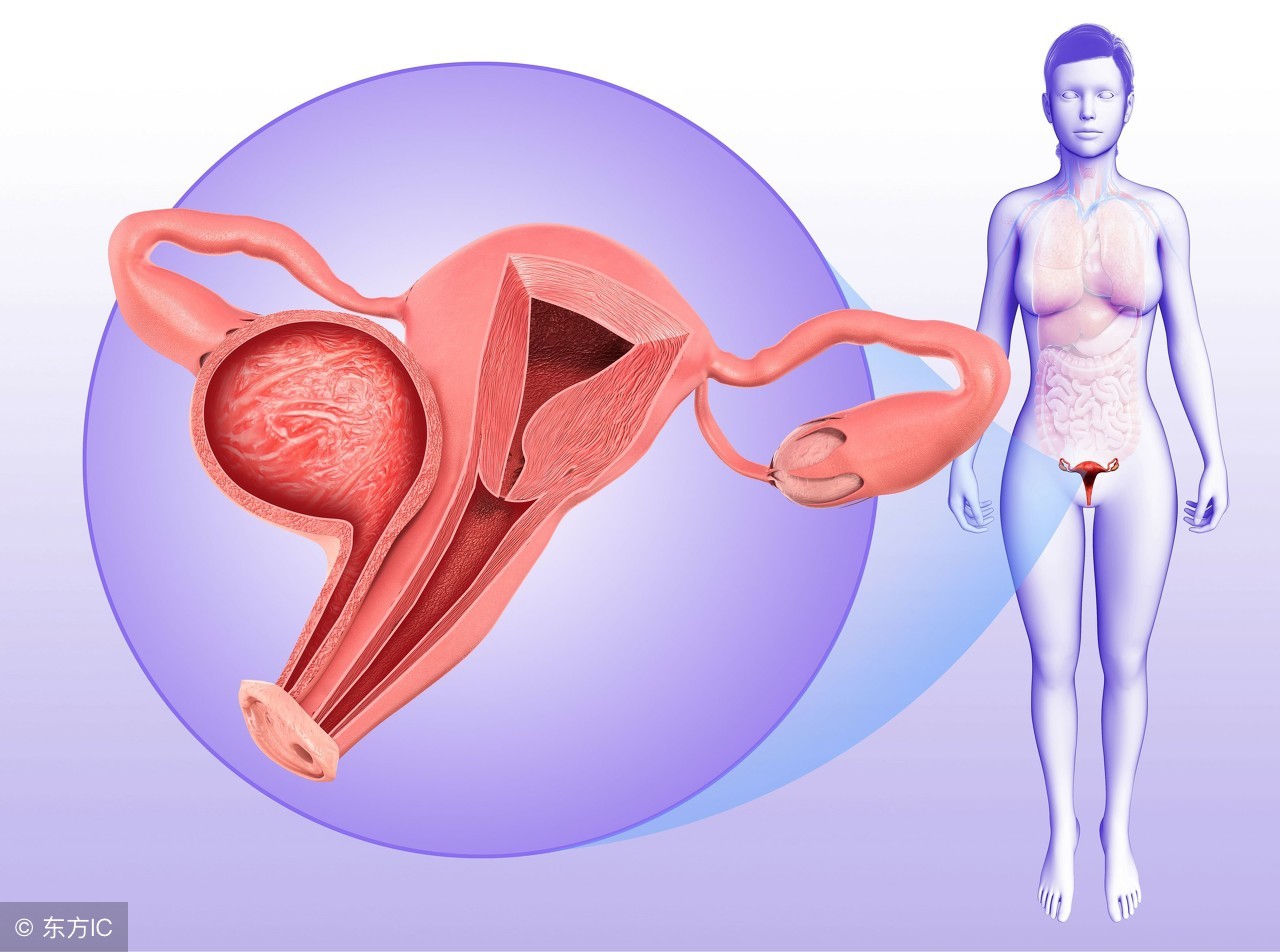 从白带判断女性*处私**健康