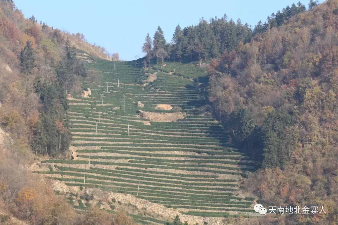 南溪山的传奇故事,宜宾南溪县的传说