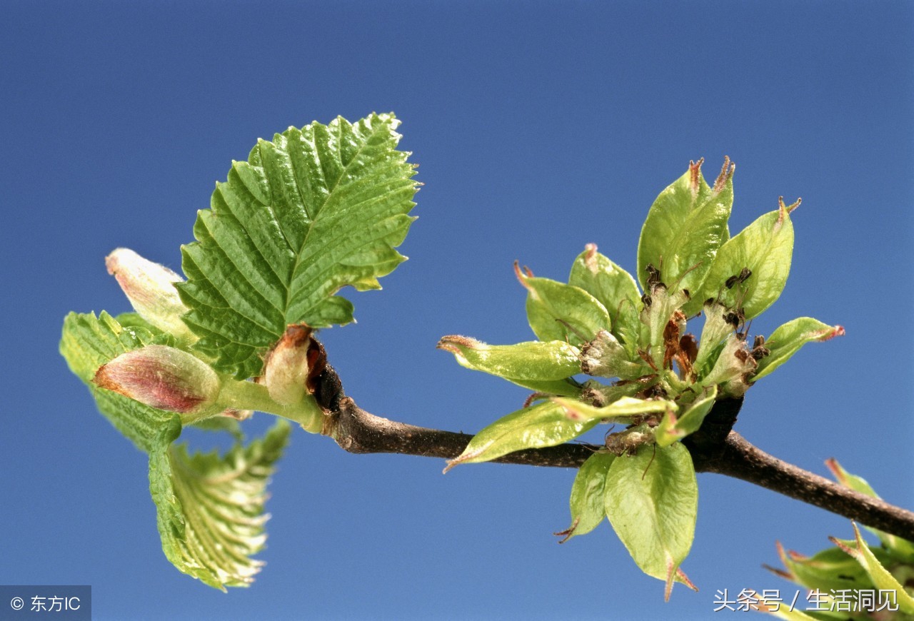 单位混得好的人都懂得这7条规则,要想混得好一定要懂人情世故