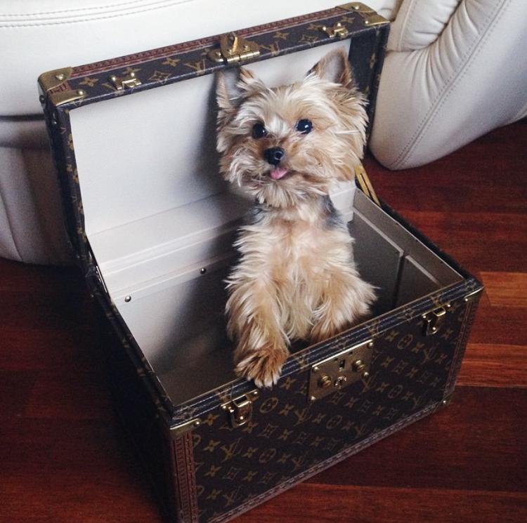 zuo到飞起｜做作的旅行就该如此这般zuo～