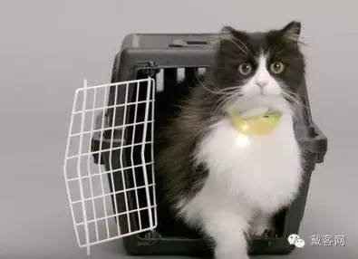 戴客网5月智能硬件新品总汇