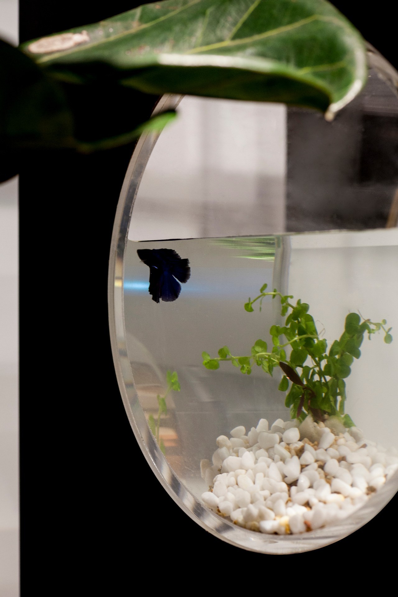 小时候看起来很乖长大后很壮,小时候看得很幼稚长大后才明白