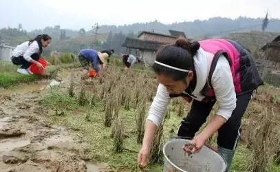 广西10大奇葩菜,广西特色暗黑料理