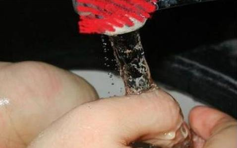 夏天到了，苏州人当心这些小虫，有人进了重症监护室，有人丧了命！