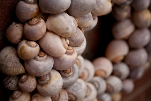 贝壳海洋工艺品摆件,贝壳工艺品叫什么