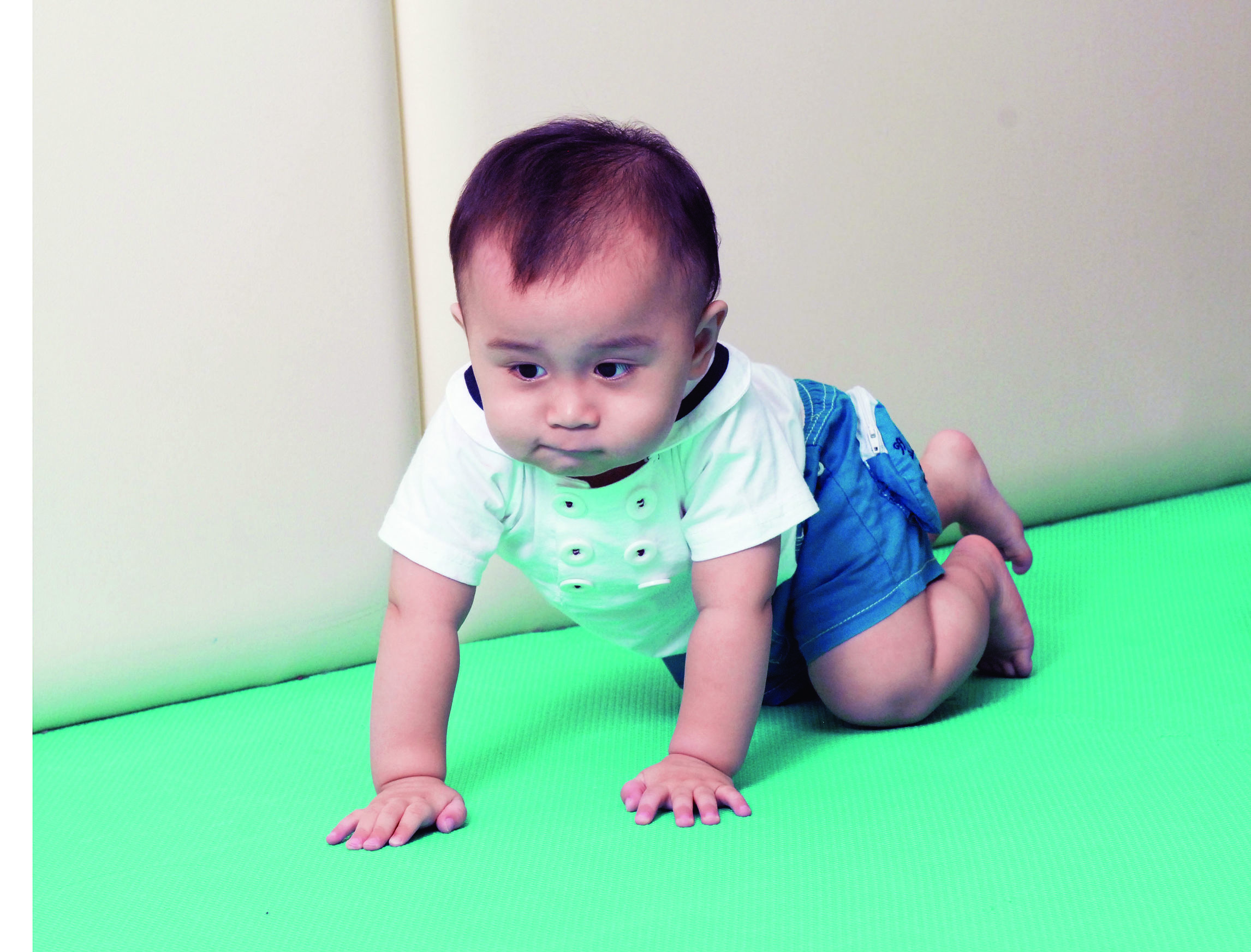 宝宝不是“难民”*制抵**“熊亲戚”乱喂食