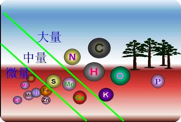 自制大蒜叶面肥的最佳配方,目前最好的小麦叶面肥配方