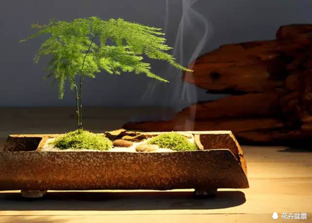 苔痕上阶绿草色入帘青妙在哪里,苔痕上阶绿草色入帘青全文