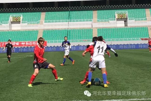 臧伟最新视频,臧伟石家庄