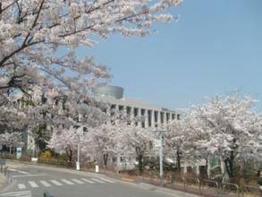 去韩国留学学什么专业比较好,韩国留学前景如何