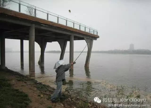 西安灞河钓鱼钓点,灞河路亚白条的钓点