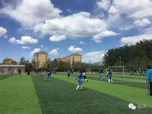 延庆区第十九届校园足球联赛,延庆区2024足球赛高中