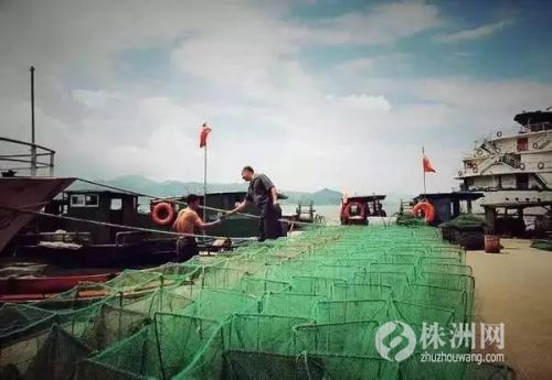 浙江海边小渔村,浙江小渔村自驾