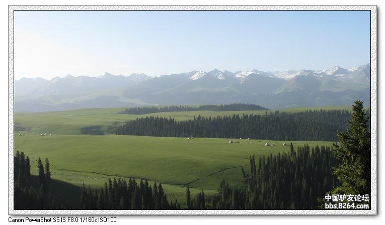 梦里花开——*疆新**，又一次的心动
