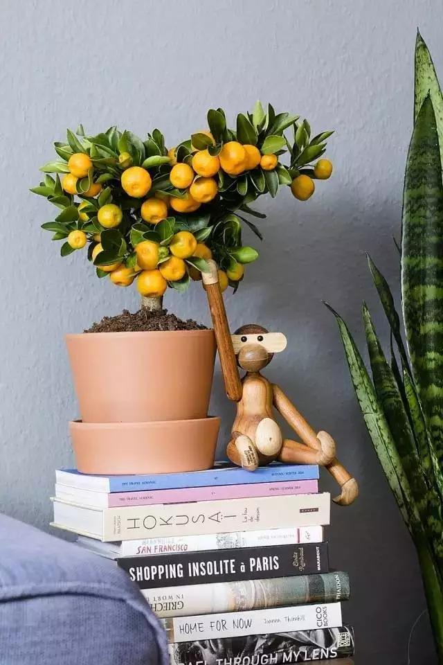 生活中的数字元素,无处不在的自然元素