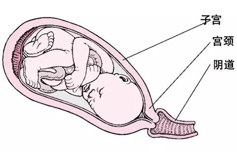 准妈妈分娩后要保留孩子脐带血吗,产房准妈妈必备物品清单