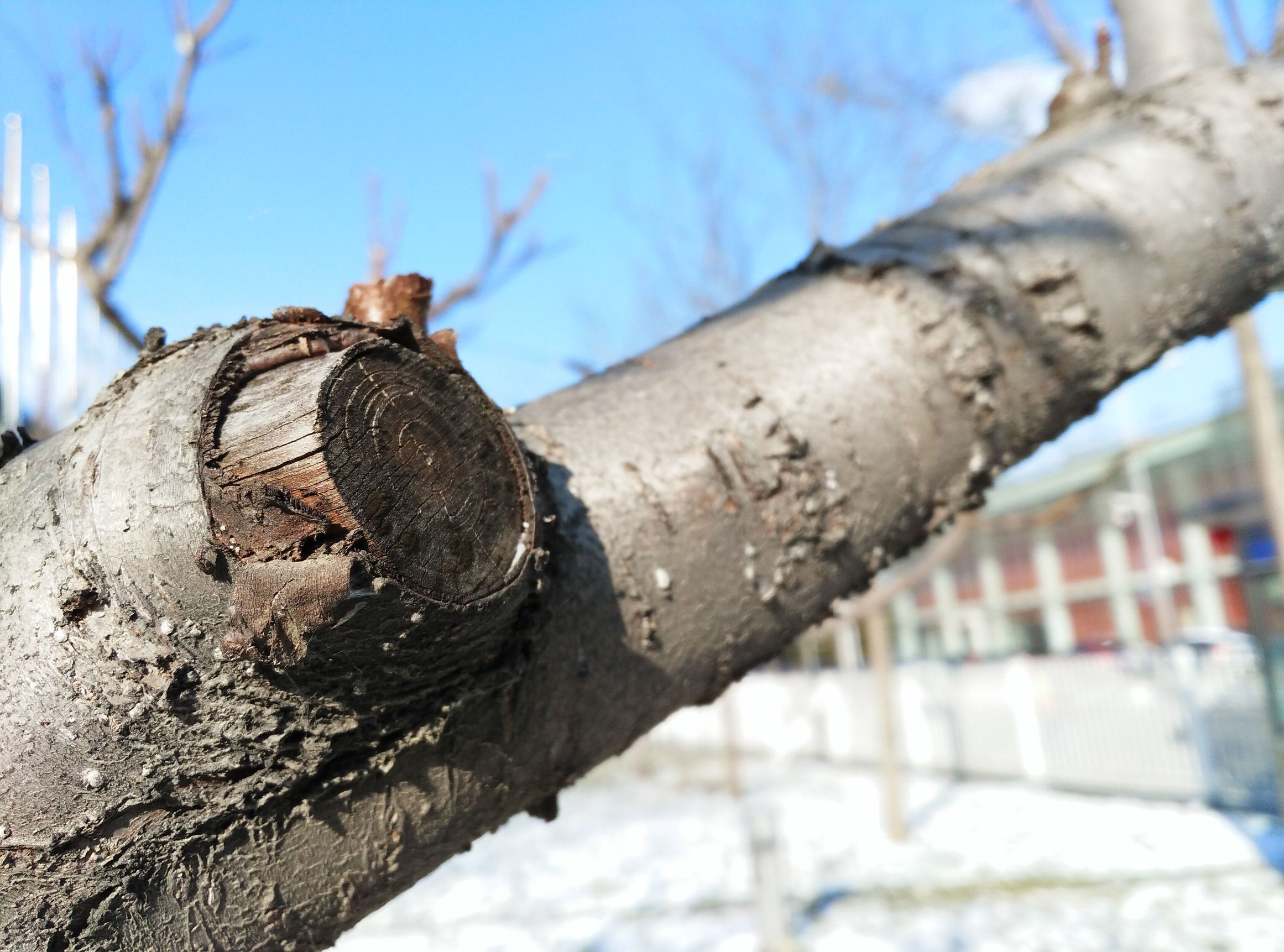 酷派锋尚max,这五个理由都劝你别买混动车型