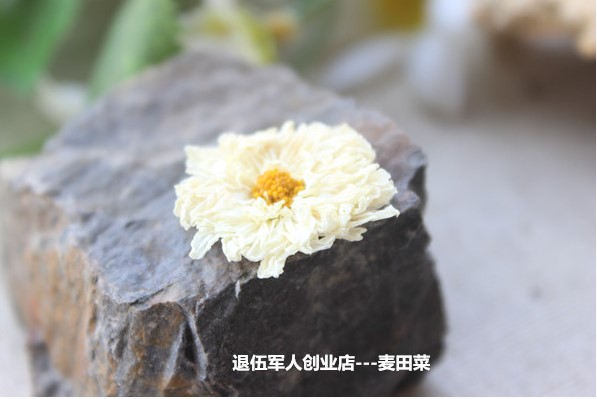 菊花的功效和冲泡方法，夏天喝菊花清热降火