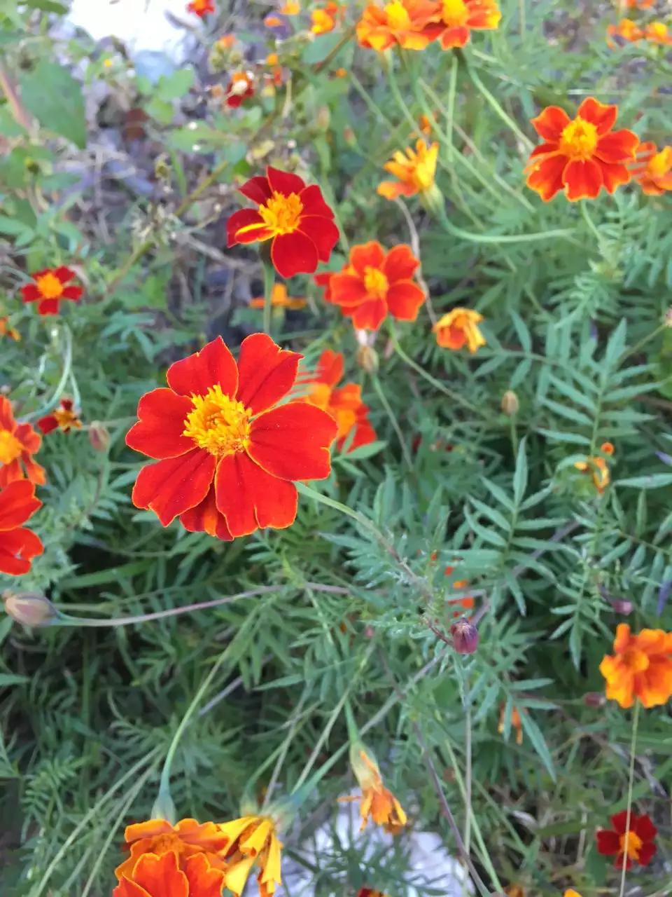 21天游遍祖国大环线,骑行走遍全国