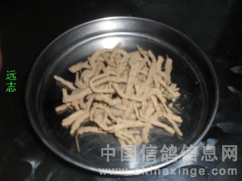 治毛滴虫粉剂,什么中草药可以治毛滴虫