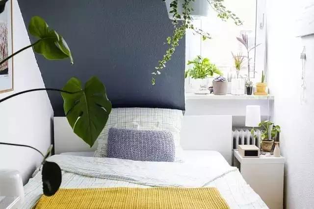 生活中的数字元素,无处不在的自然元素