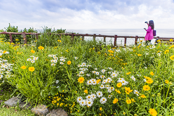 韩国济州岛最好吃的糕点美食,济州岛马肉