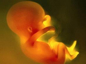 孕妈能感受到宝宝是健康的吗,孕妈感受胎儿发育